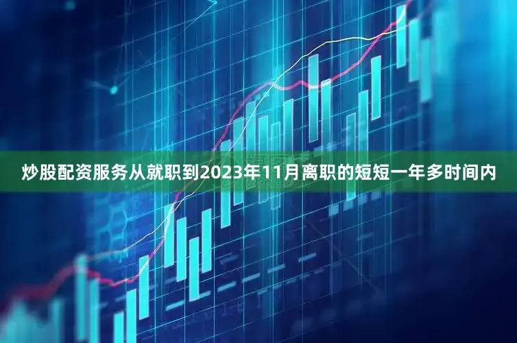 炒股配资服务从就职到2023年11月离职的短短一年多时间内