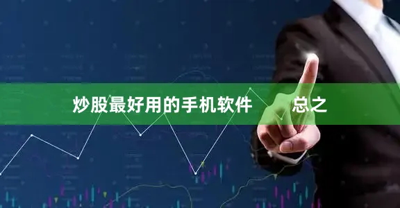 炒股最好用的手机软件        总之