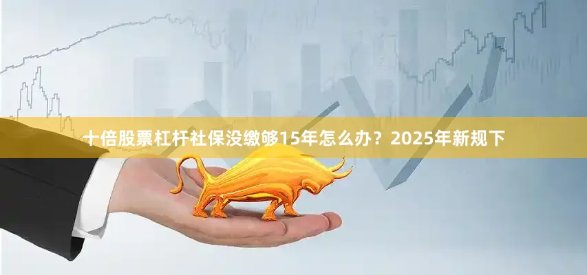 十倍股票杠杆社保没缴够15年怎么办？2025年新规下